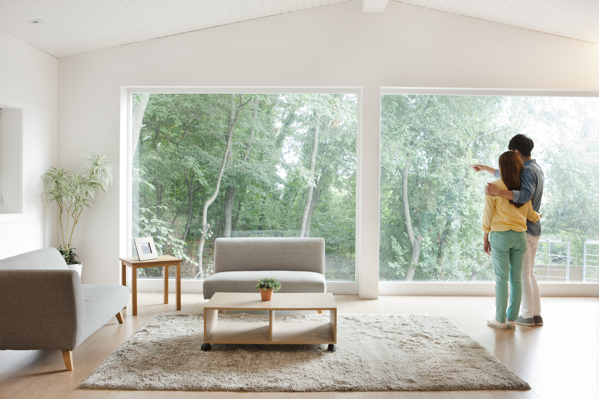 메인 비주얼 이미지